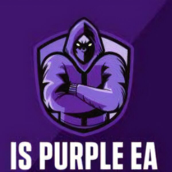 IS Purple EA V1.1 MT4 Automated Trading with Presets (No DLL)